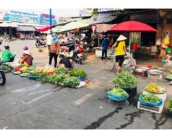 z21040657278476af1bb6a7c0c2babc9cce8169f323487 2077 420x280