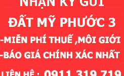GIÁ ĐẤT NỀN MỸ PHƯỚC 3