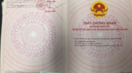 2b3d3e37fdbe05e05caf 9572 240x320 e1634634184723